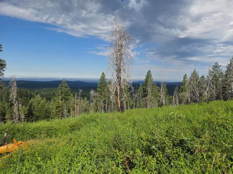 4898 Creekside, Grizzly Flats, CA 95240 - #3