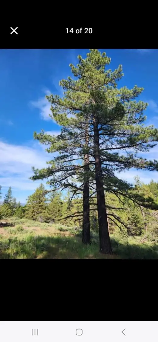 0 Cheney Creek Road, Susanville, CA 96130
