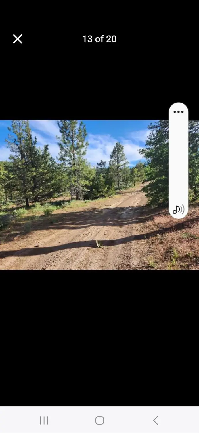 0 Cheney Creek Road, Susanville, CA 96130 - #2