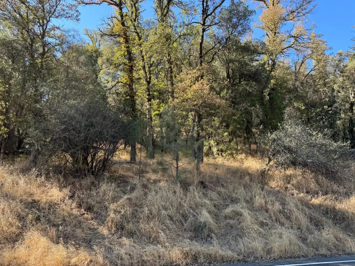 17022 Brewer Road, Grass Valley, CA 95949 - #1