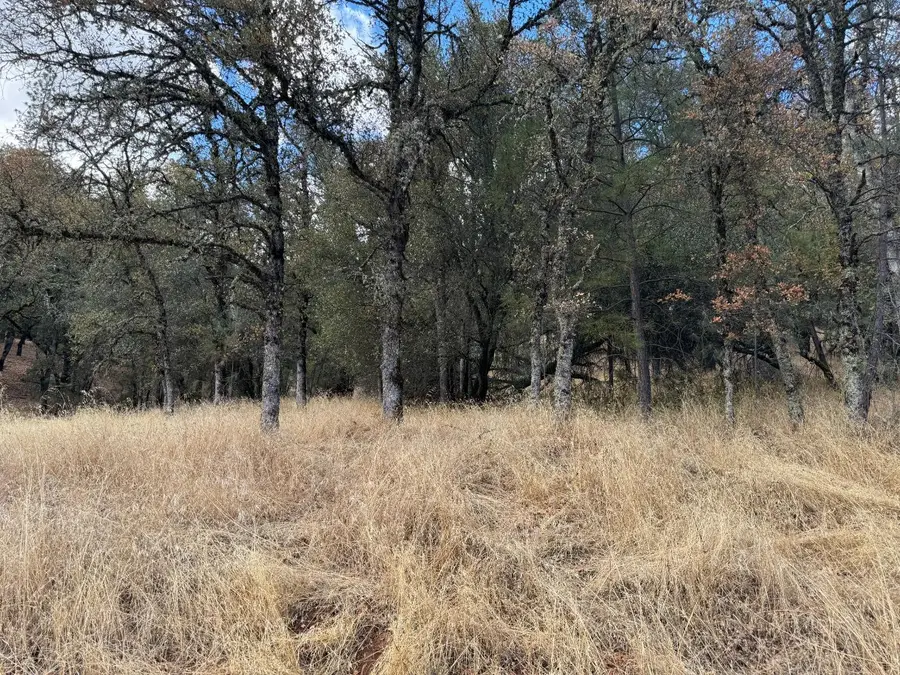 17022 Brewer Road, Grass Valley, CA 95949 - #3