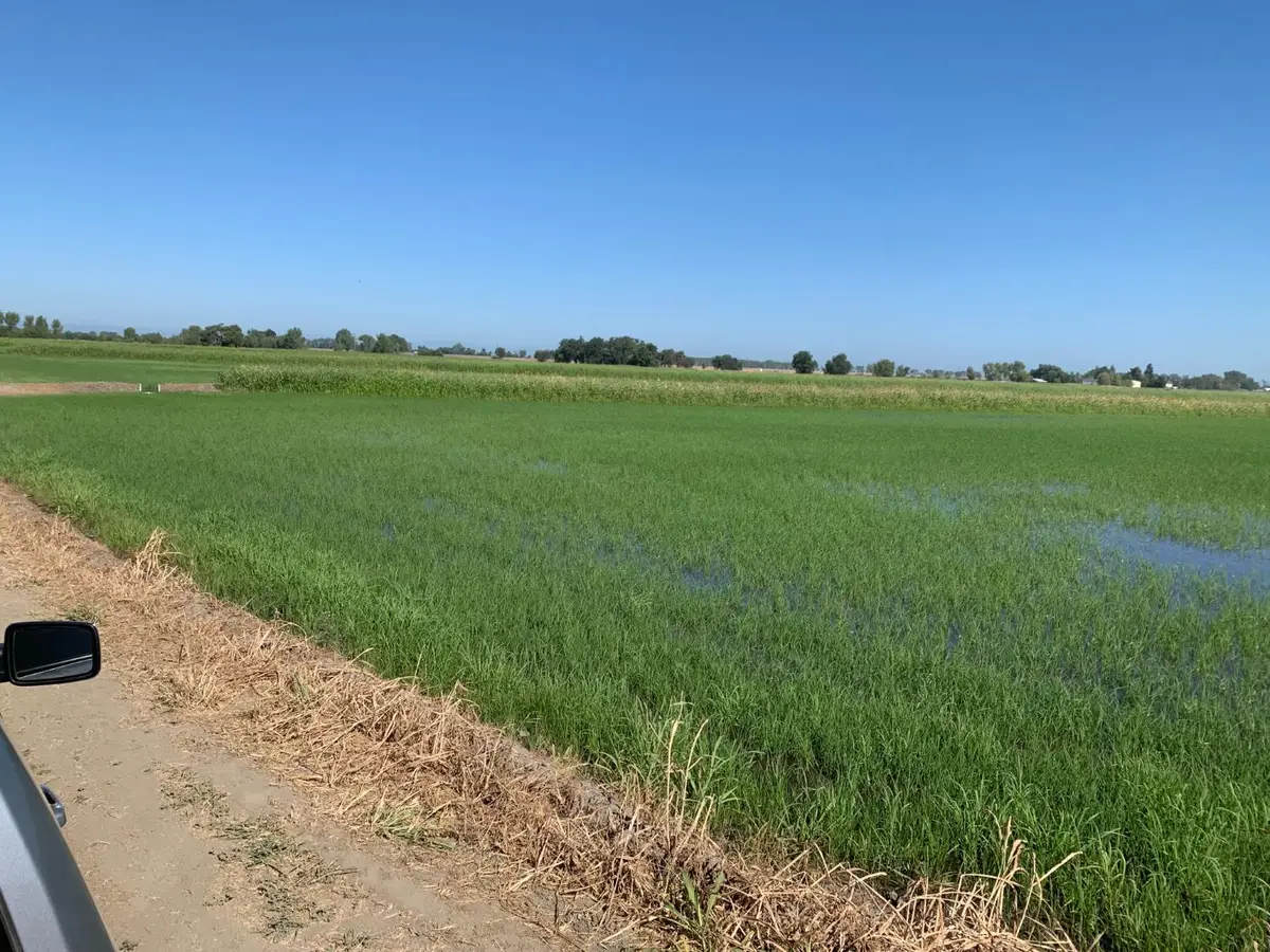 0 10658 Fasig Rd, Meridian, CA 95957 - #1