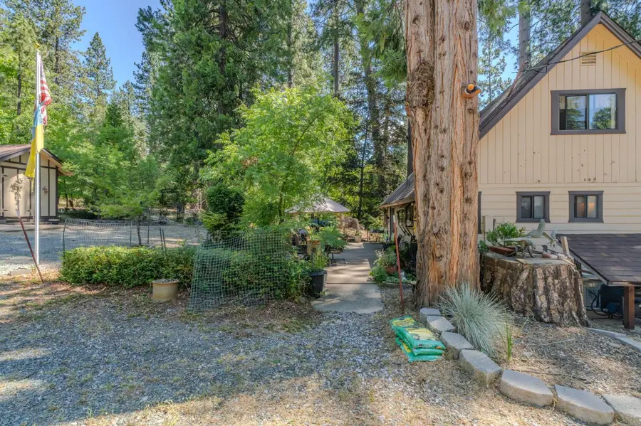 19791 Inspiration Drive, Pioneer, CA 95666 - #3