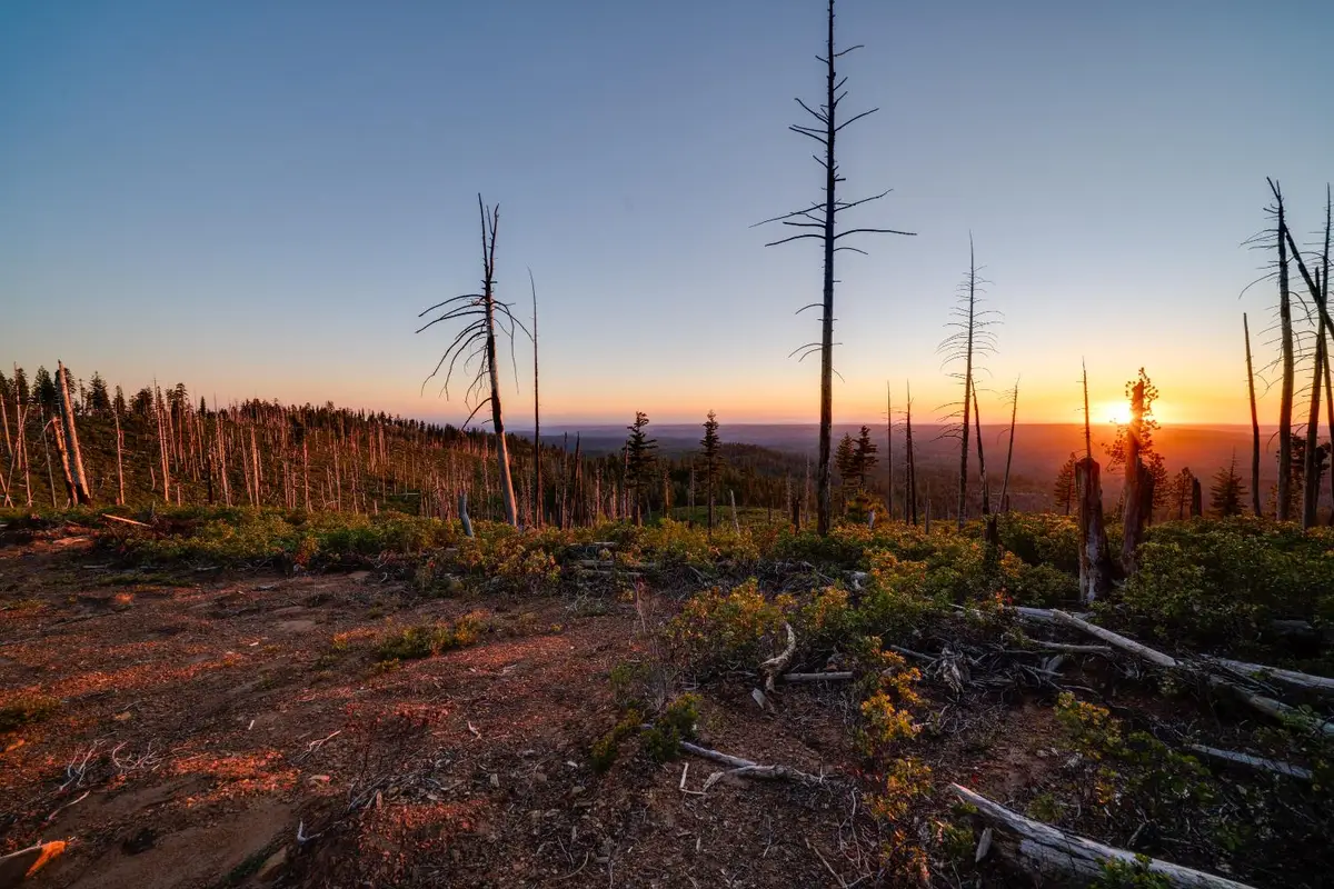 0 Off The Grid, Emigrant Gap, CA 95715 - #1