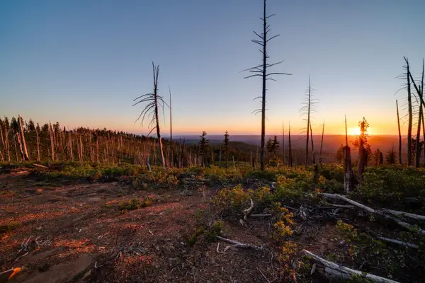 0 Off The Grid, Emigrant Gap, CA 95715