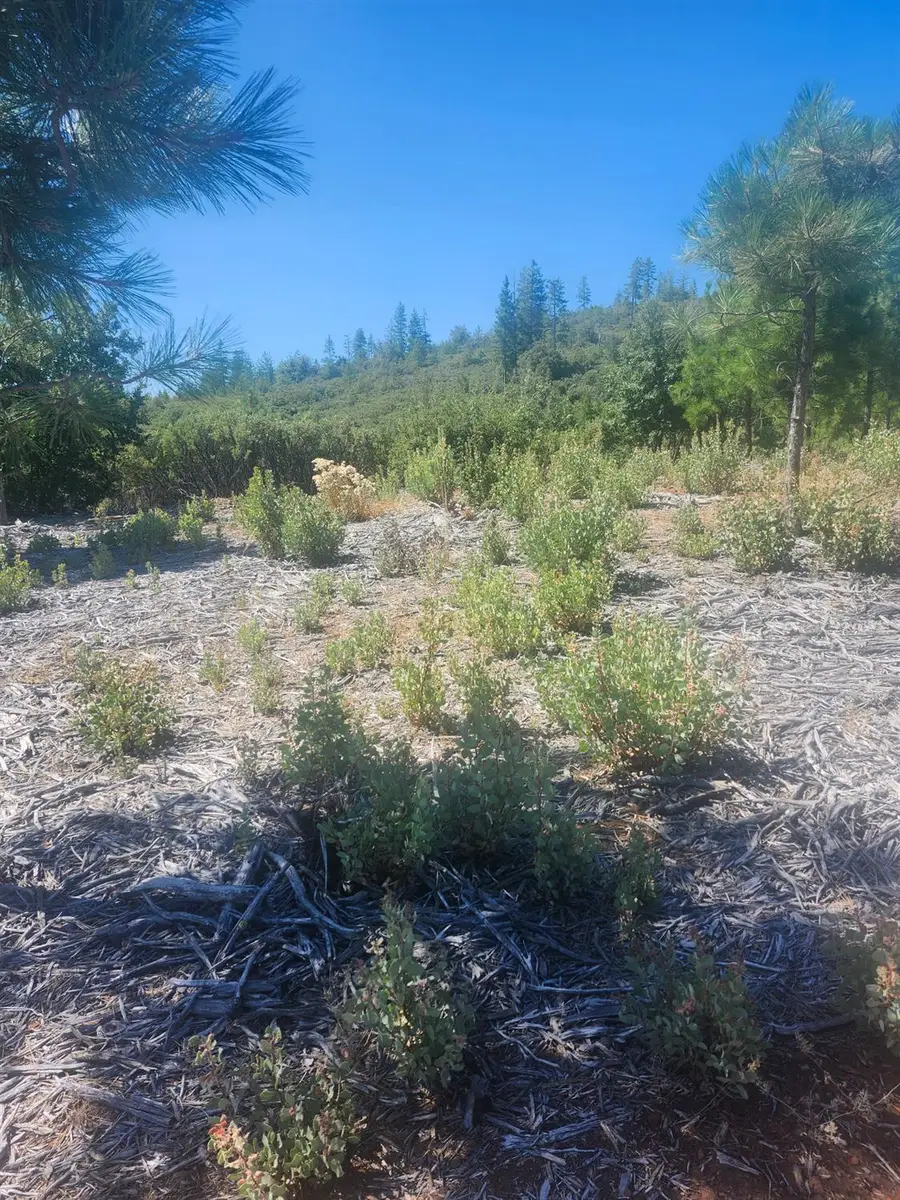19855 Incense Cedar Trail, Groveland, CA 95321 - #2