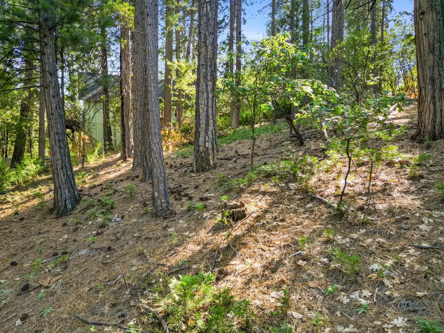 2946 Venado Drive, Arnold, CA 95223 - #3