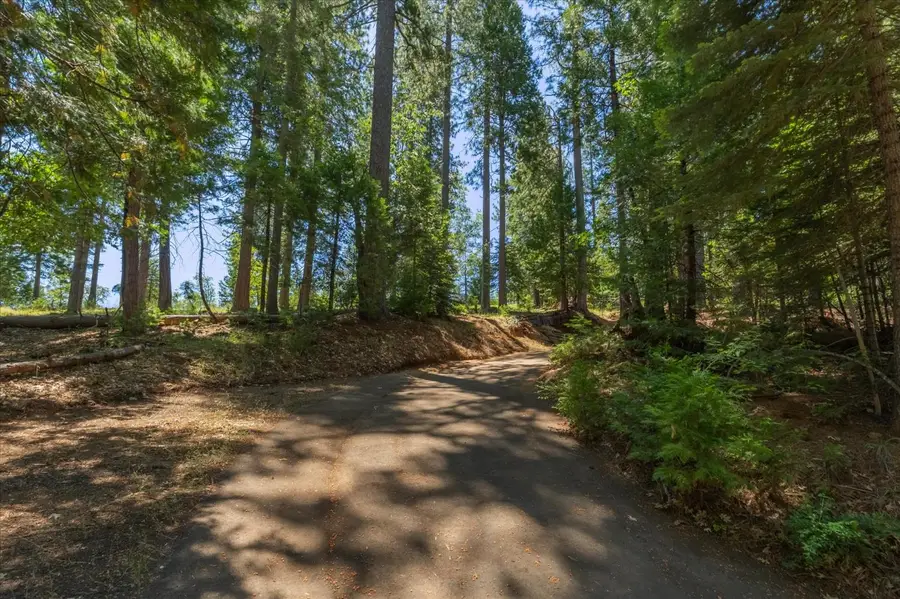 794 Ponderosa Way, Arnold, CA 95223 - #2