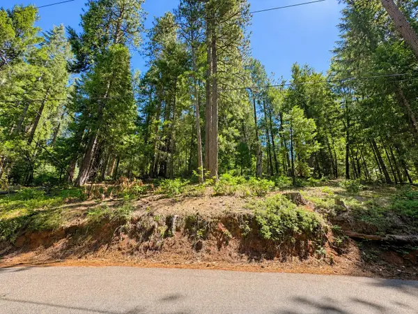 2221 Forebay Road, Pollock Pines, CA 95726