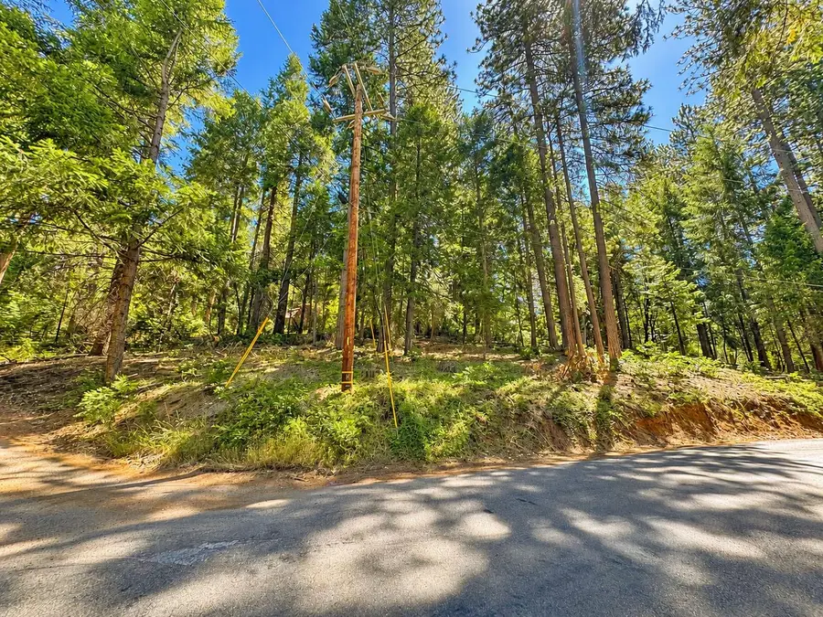 2221 Forebay Road, Pollock Pines, CA 95726 - #2