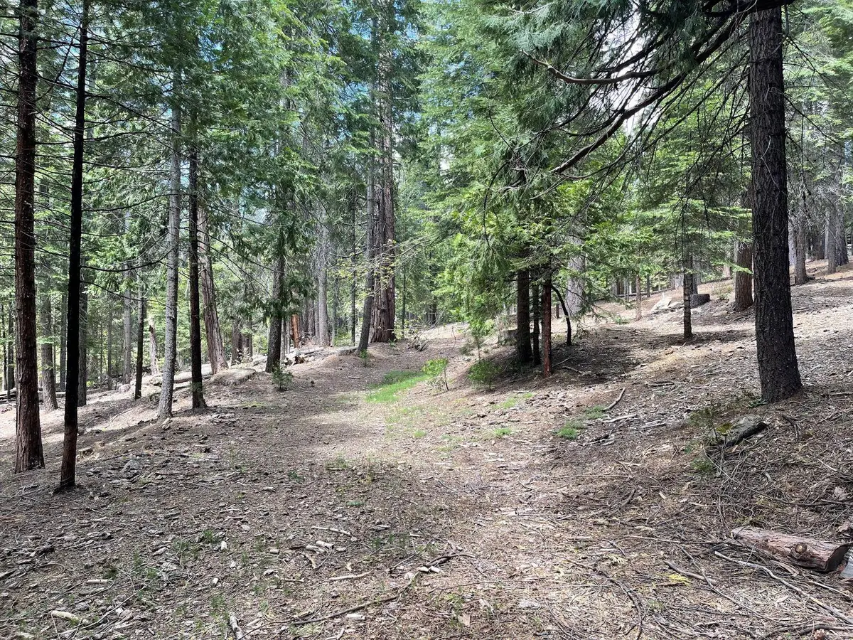 37 Iroquois Drive, Camp Connell, CA 95223 - #1