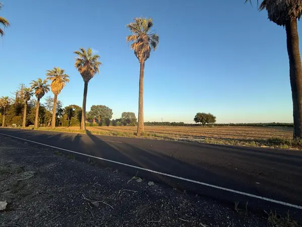4000 E Acampo Road, Acampo, CA 95220