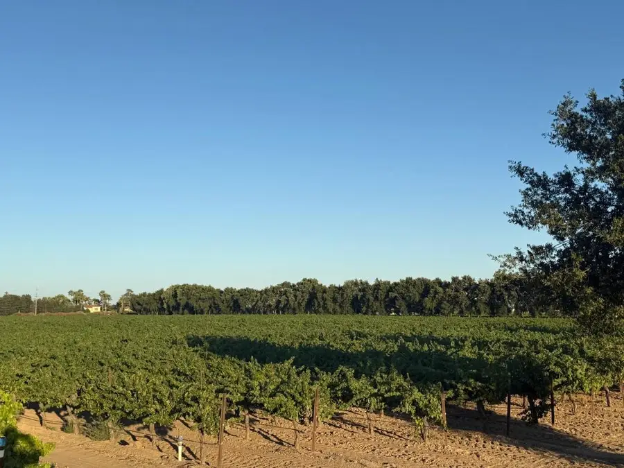 4000 E Acampo Road, Acampo, CA 95220 - #2