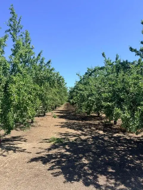 0 Service Road, Ceres, CA 95307