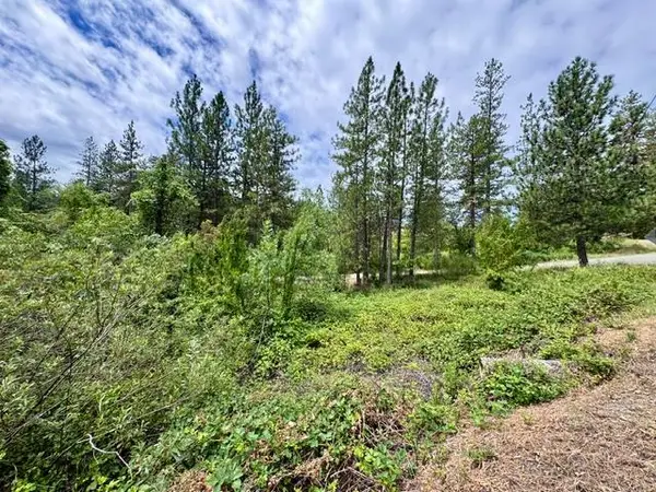 0 Grand View Way, Colfax, CA 95713