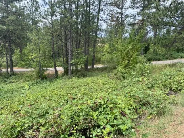 0 Grand View Way, Colfax, CA 95713 - #2