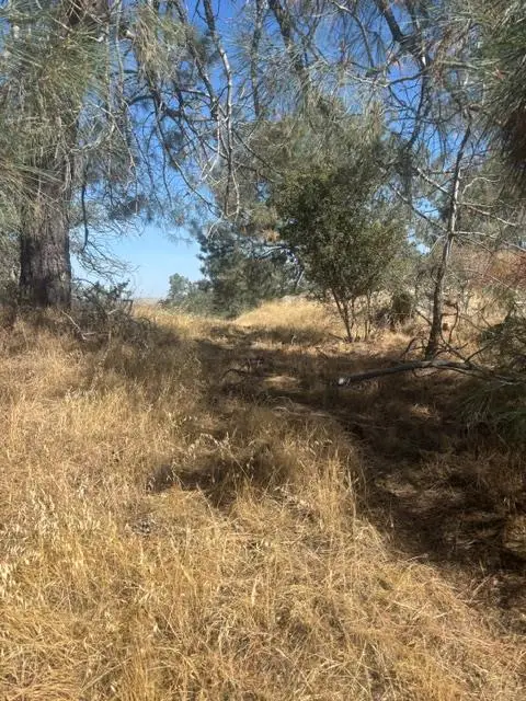 2609 Granite Lane, Catheys Valley, CA 95306