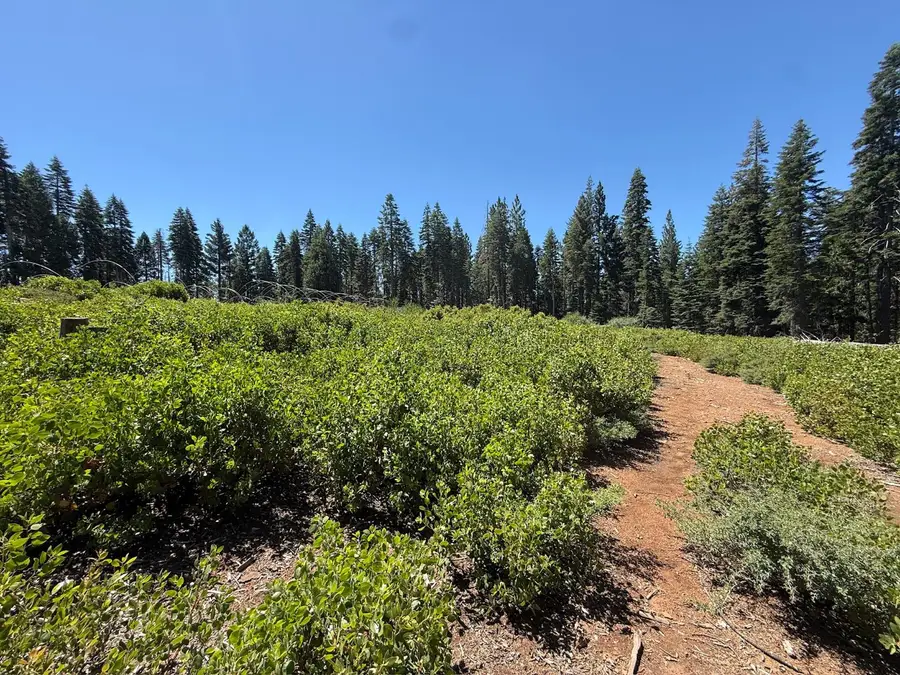 30457 N Bloomfield-graniteville Road, Nevada City, CA 95959 - #3