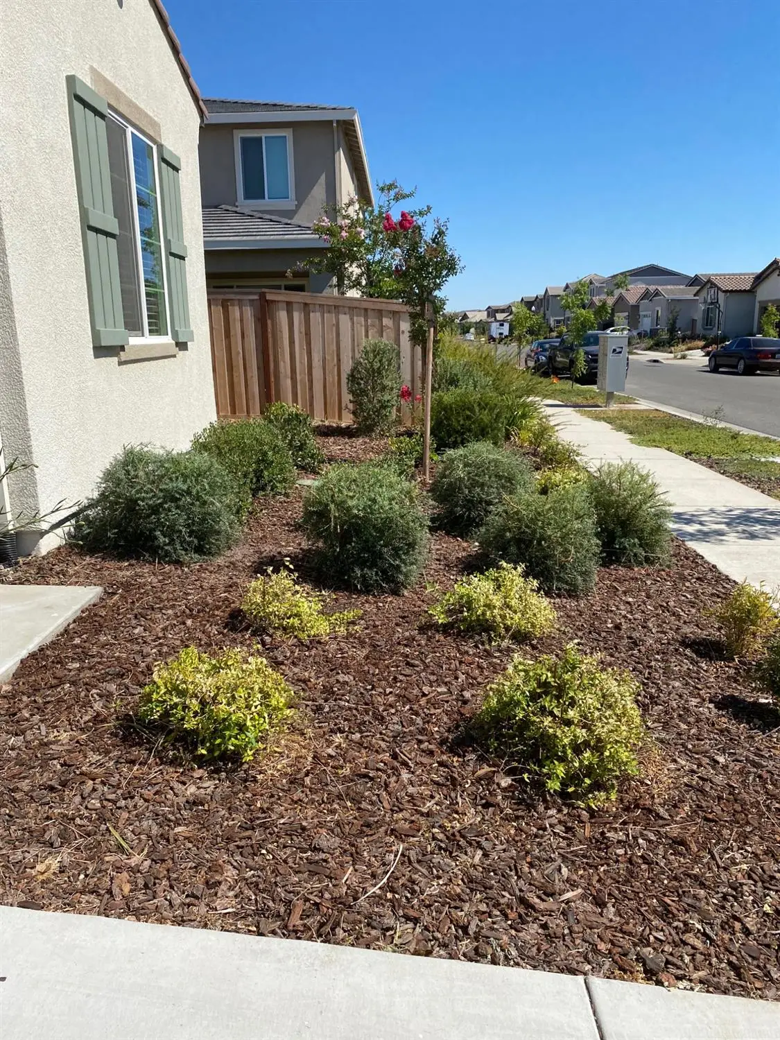 442 Olivadi Way, Sacramento, CA 95834 - #1