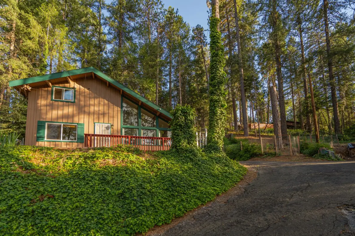 28020 Manzanita Trail, Colfax, CA 95713 - #1
