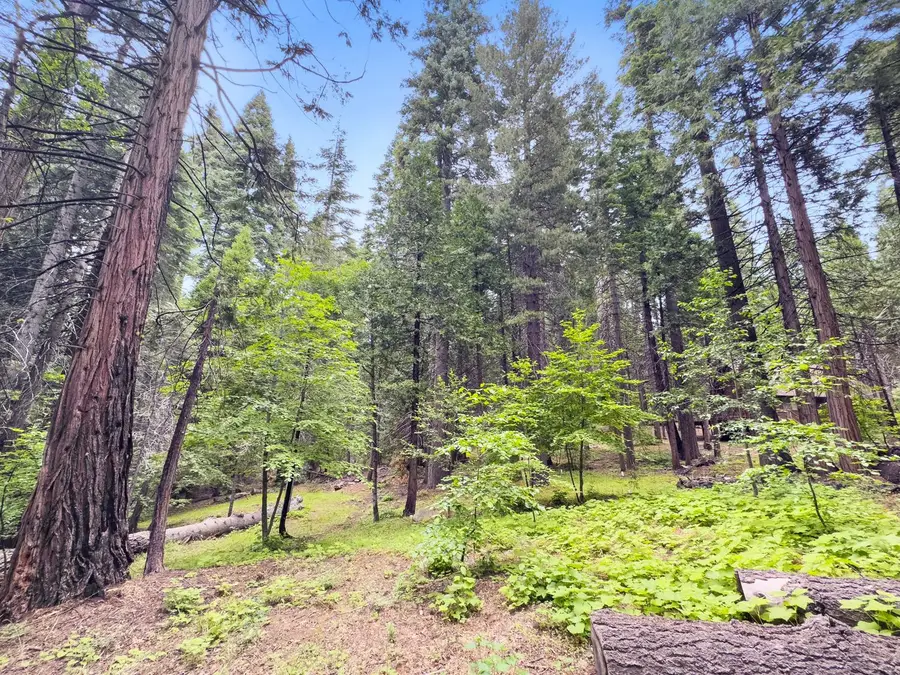4278 Ottawa Drive, Camp Connell, CA 95223 - #2