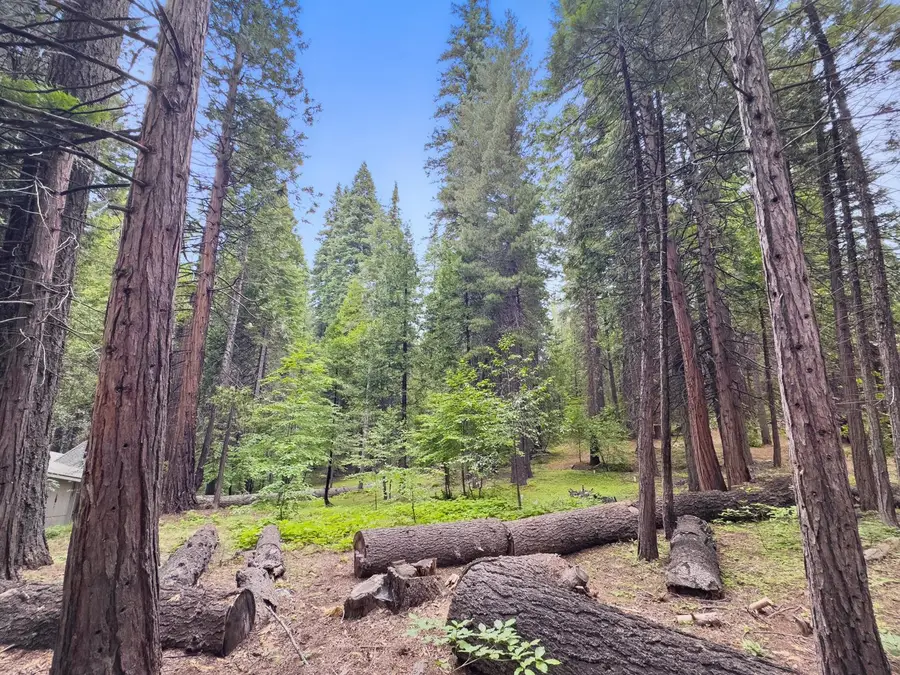 4278 Ottawa Drive, Camp Connell, CA 95223 - #3