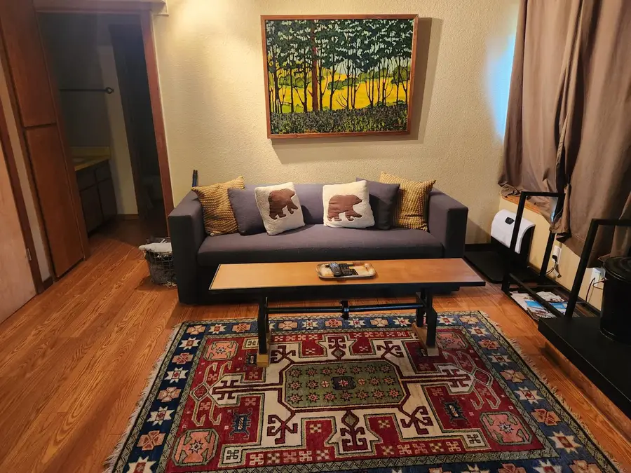 74 Bear Valley Road #1, Bear Valley, CA 95223 - #3
