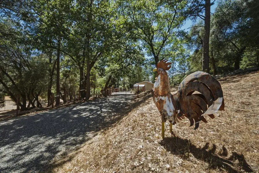 4246 Silver Ridge Court, Placerville, CA 95667 - #3