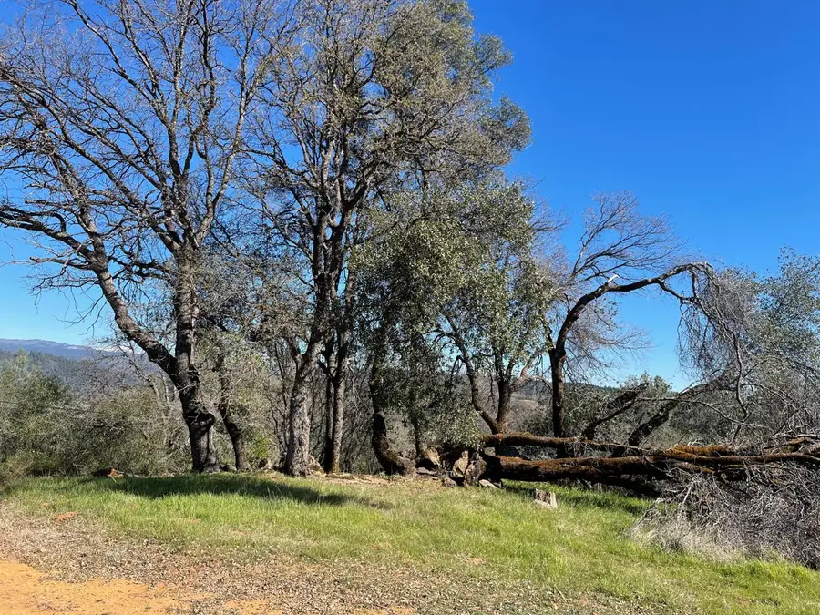 2028 Royal View Drive, Placerville, CA 95667 - #3