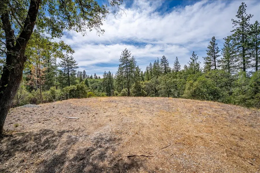 22600 Plumtree Road, Colfax, CA 95713 - #2