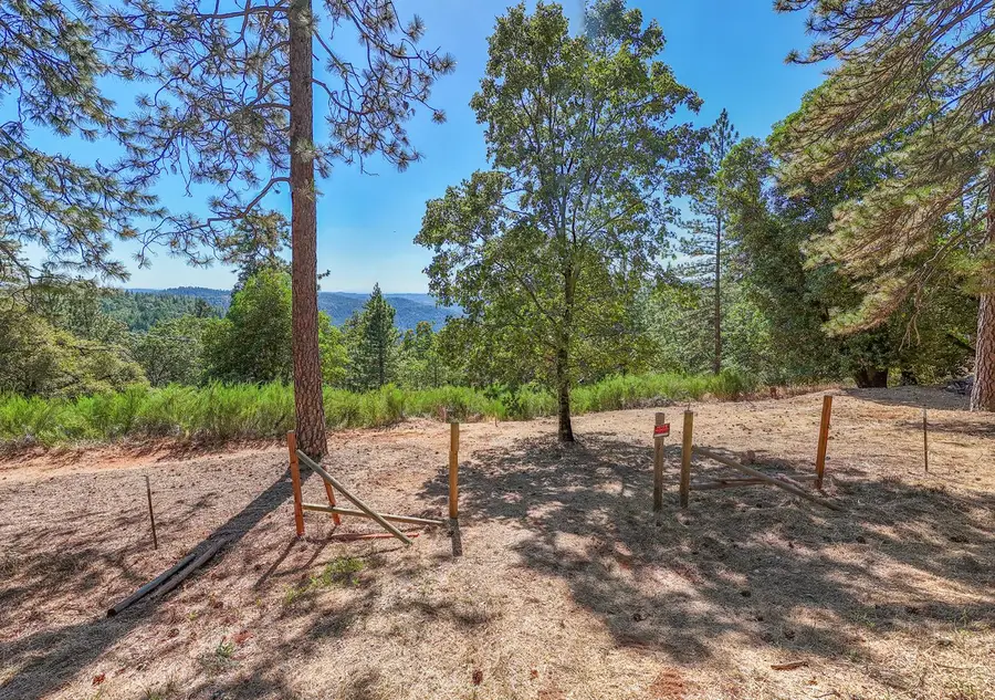 5199 Roquero Cerro Court, Greenwood, CA 95635 - #3