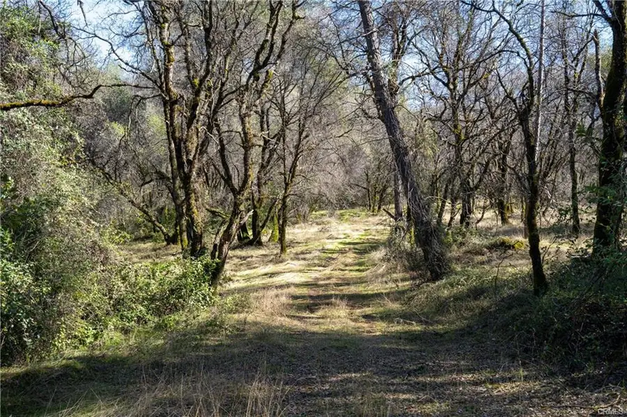 17109 Natchez Creek Road, Bangor, CA 95914 - #2
