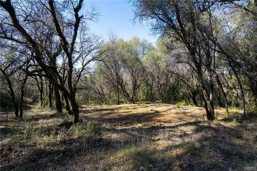 17109 Natchez Creek Road, Bangor, CA 95914 - #3