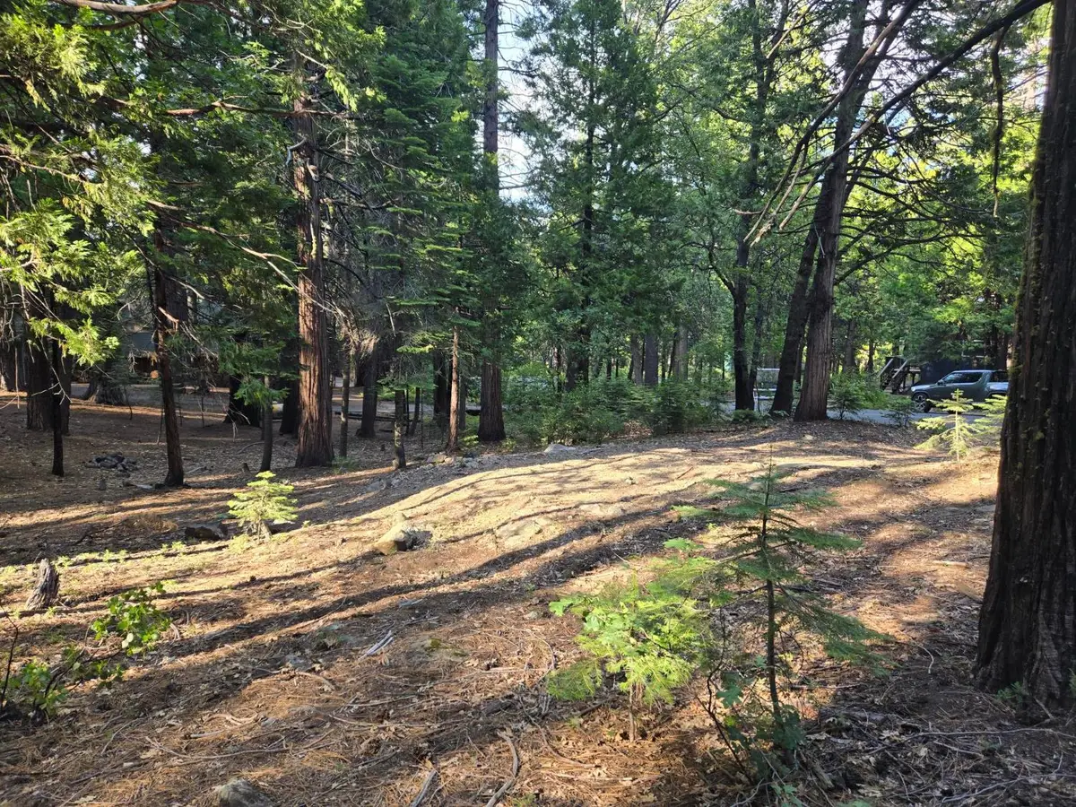 3850 Apache Road, Dorrington, CA 95223 - #1