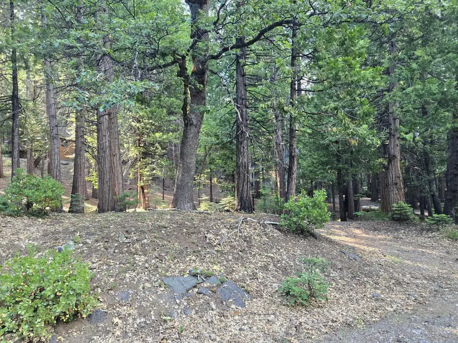 3850 Apache Road, Dorrington, CA 95223 - #3