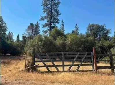 14936 Winther Way, Brownsville, CA 95919 - #2