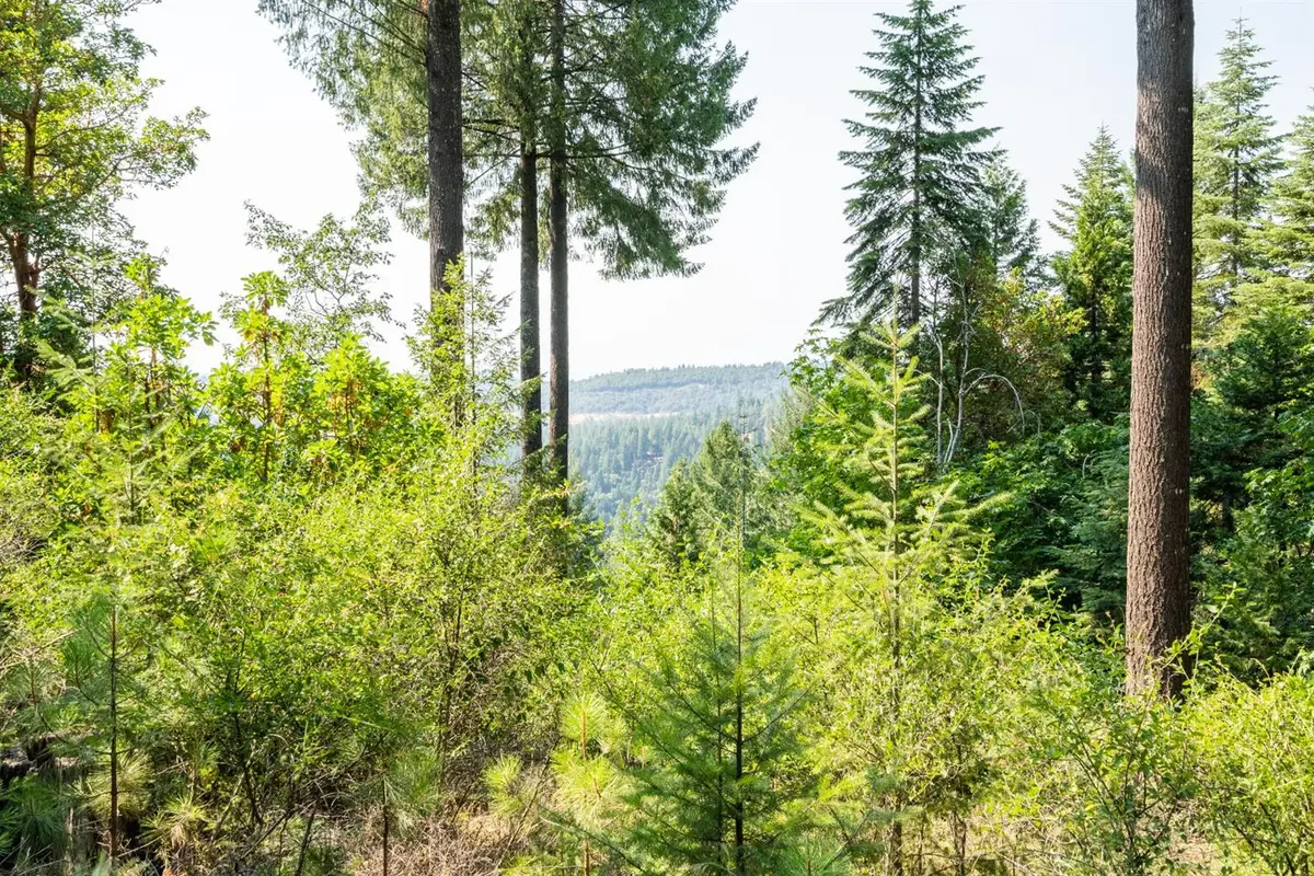13518 Quaker Hill Cross Road, Nevada City, CA 95959 - #1