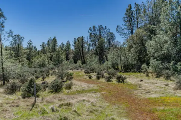 0 Carson Road, Pioneer, CA 95666