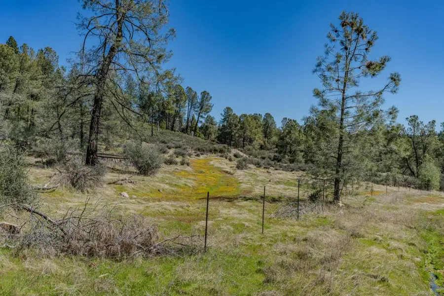0 Carson Drive, Pioneer, CA 95666 - #3