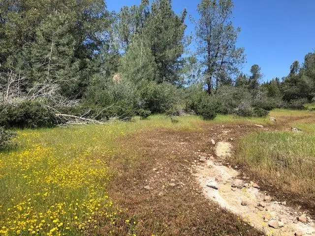 0 Carson Drive, Pioneer, CA 95666 - #2