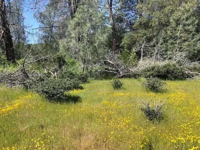 0 Carson Drive, Pioneer, CA 95666 - #3