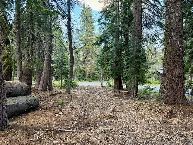 0 Quaking Aspen Road, Bear Valley, CA 95223 - #2
