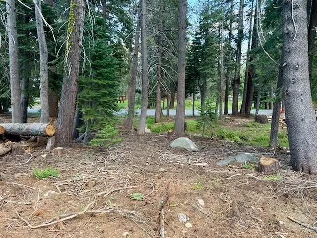 0 Quaking Aspen Road, Bear Valley, CA 95223 - #3