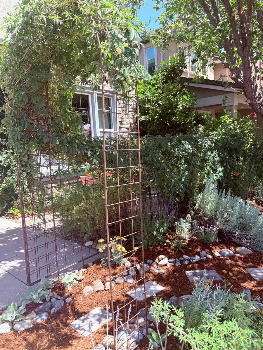 2141 Eldmire Way, Roseville, CA 95747 - #3