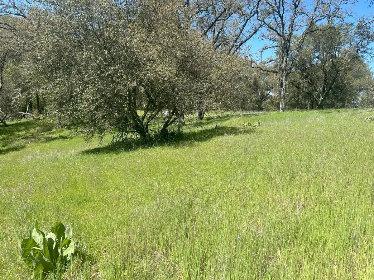 4600 Summer Creek Court, Shingle Springs, CA 95682 - #1