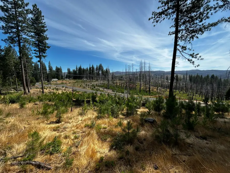 4904 Mount Pleasant Drive, Grizzly Flats, CA 95636 - #2