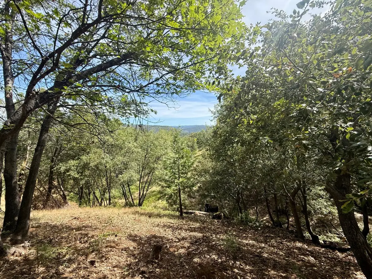 339 Snowberry Court, Murphys, CA 95247 - #1