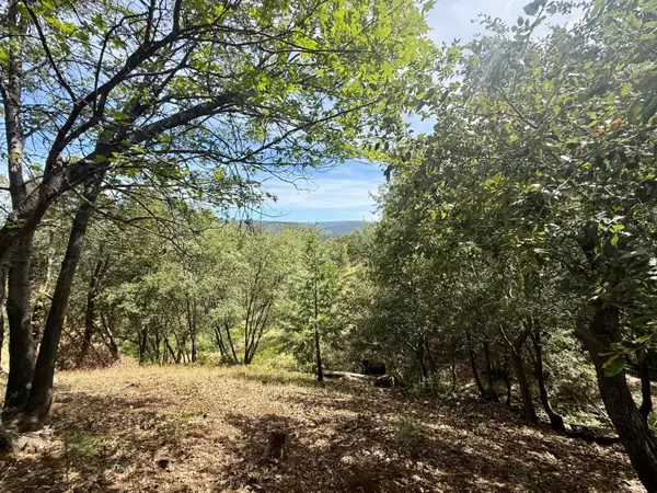 339 Snowberry Court, Murphys, CA 95247