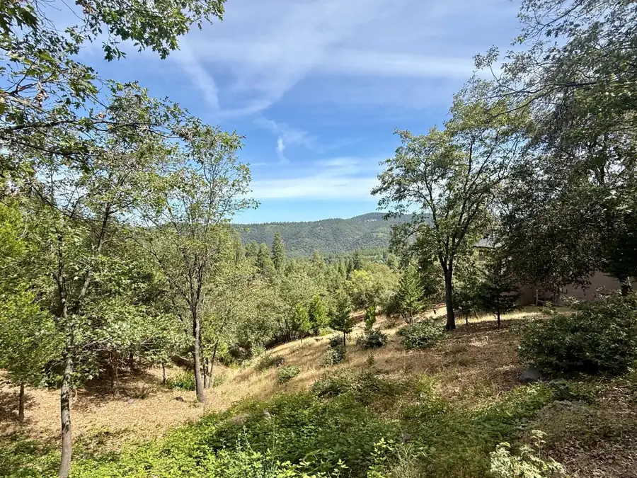339 Snowberry Court, Murphys, CA 95247 - #3