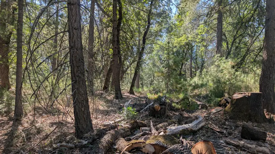 0 S Manzanita Hills Road, Colfax, CA 95713 - #2